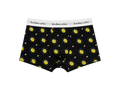 Explorer State